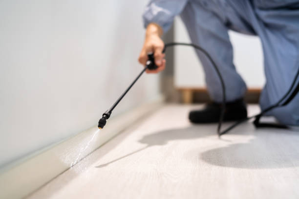 Licensed Pest Control service in Milan, NM - Show Me Pest Control